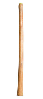 Medium Size Natural Finish Didgeridoo (TW1714)